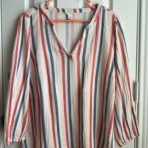 Caslon Multicolor Striped V-Neck Blouse